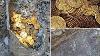 Millions Of Pristine 5th Century Gold Coins Are Found Buried In A Pot Under Italian Theatre