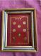 RARE VINTAGE LOT 8K Solid Gold COIN wood frame miniature N. 8 IN TOTAL